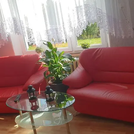 ホステル Sloneczny Aniol Laziska (Silesia)